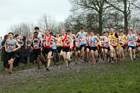 Senior boys 2019 New Balance English Schools Cross Country Champs, Temple Newsam, Leeds. Photo:  David T. Hewitson/Sports for All Pics